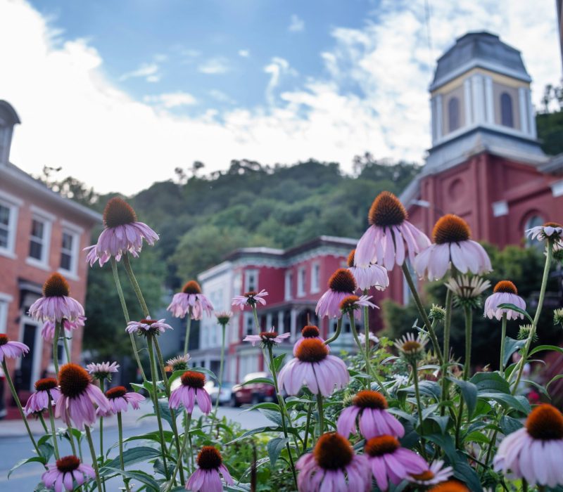 land-o-lakes-inc-5KSXpLJRw8o-unsplash